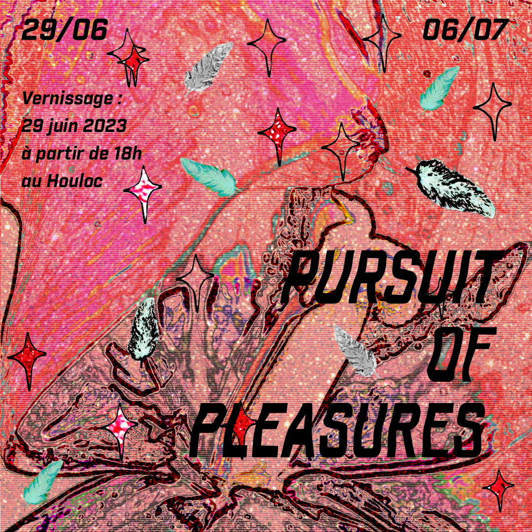 PURSUIT OF PLEASURES flyer
